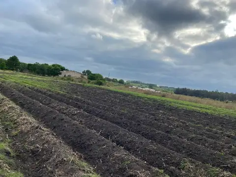 Venta de terrenos en Progreso de 3 Hectáreas
