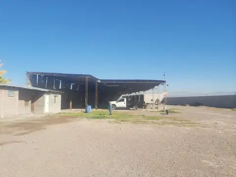 Ruta Nacional 40 100