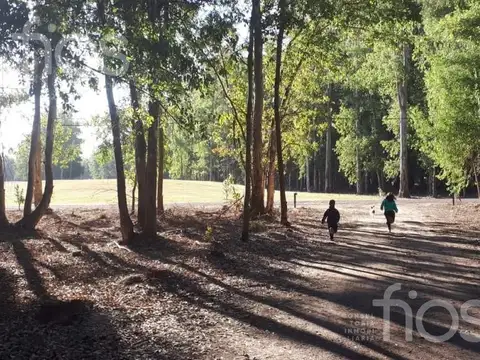 Terreno en Venta 33  mts Fondo