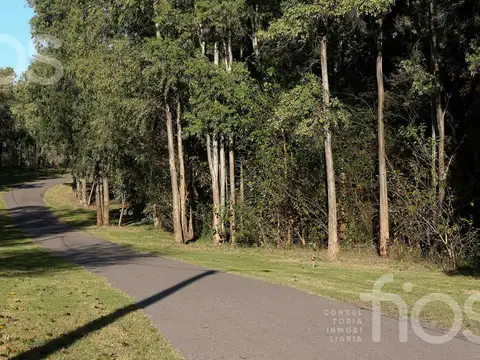 Terreno en Venta 20  mts Frente