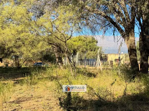 Terreno en Venta 50  mts Fondo