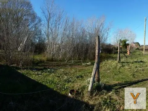 Terreno en Venta 50  mts Frente