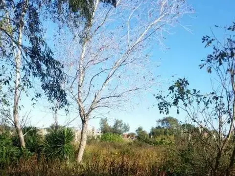 Terreno en Venta de 2000,0 m2