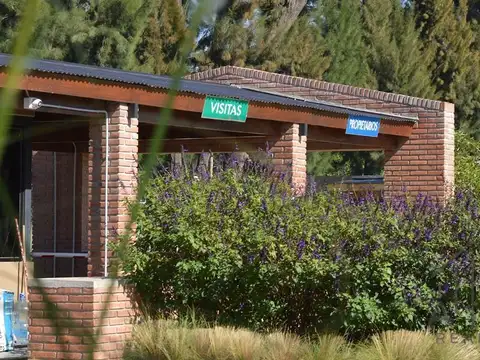 Venta Terreno / Lote a la laguna en San Antonio Canning 100
