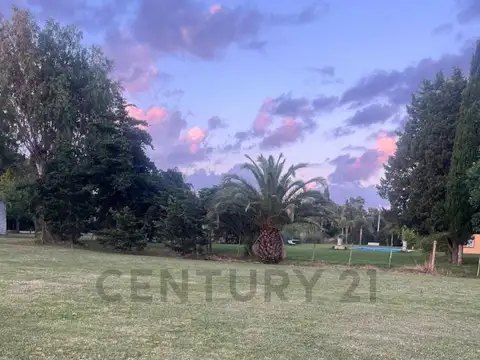 El Ombu entre 97 y 98