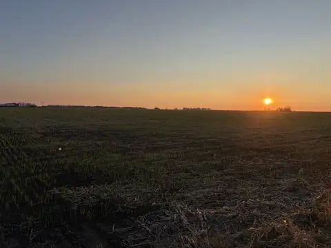 Campo en Totoras