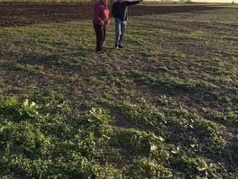 zona rural