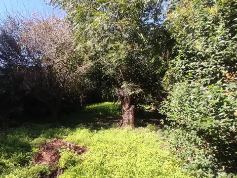 Casa con gran parque y pileta sobre calle 24