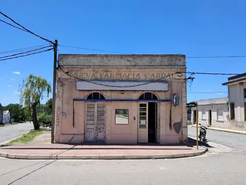 Jose G. Artigas 100