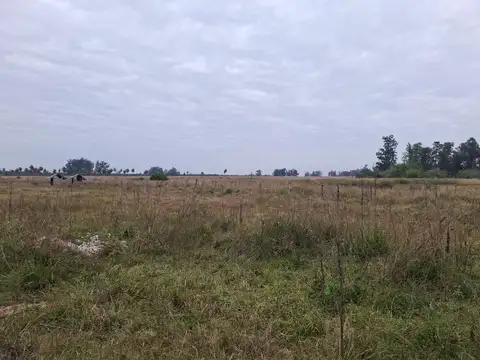 9000ha en Santa Rosa, Corrientes