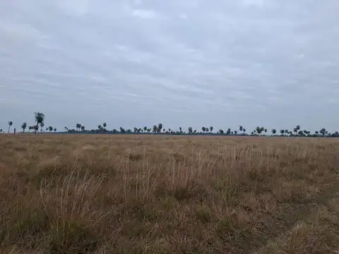 Santa Rosa, Corrientes