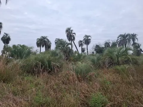 Santa Rosa, Corrientes