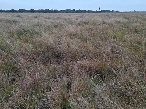 Santa Rosa, Corrientes