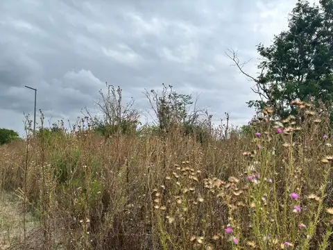 Terreno en Venta en Abasto, USD 12.000