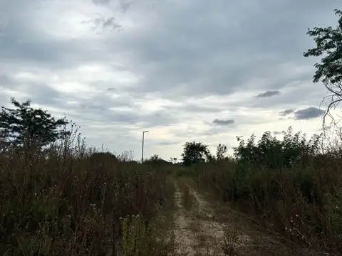 498 y 198 estancia chica