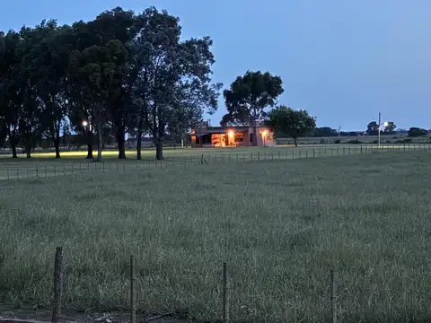 Campo Mixto de 20 ha con 4 casas en General Madariaga, Provincia de Buenos Aires.
