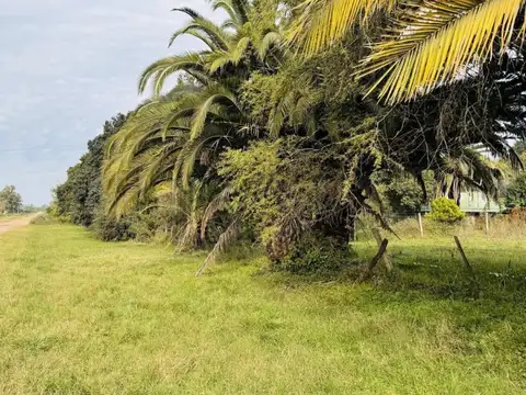 Autovía Ruta 14  S/N entre Colón y Concepción del Uruguay, Entre Ríos