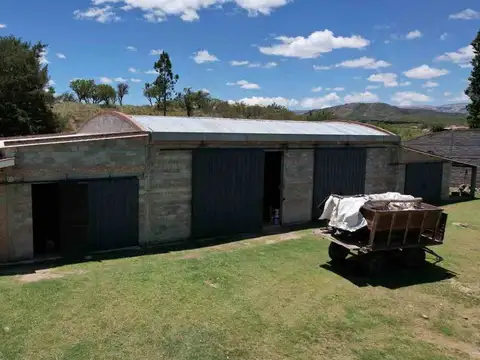 SAN ALBERTO