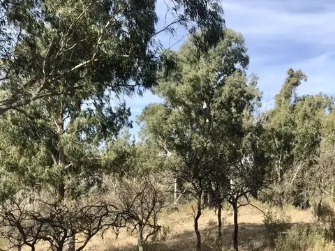 Venta Terreno 6 de 1.100m2 con escritura  - La Sierrita, Villa Del Dique