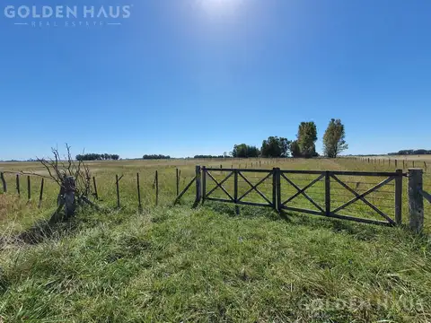 Campo de 50 hectareas a 10 km de Saladillo - Colonia Maria Luisa