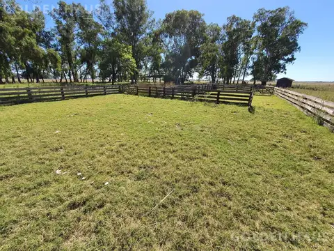 Campo de 50 hectareas a 10 km de Saladillo - Colonia Maria Luisa