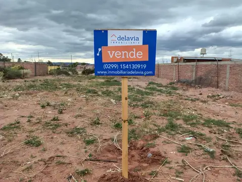 Terreno en Venta en Rincon de los Sauces, Pehuenches