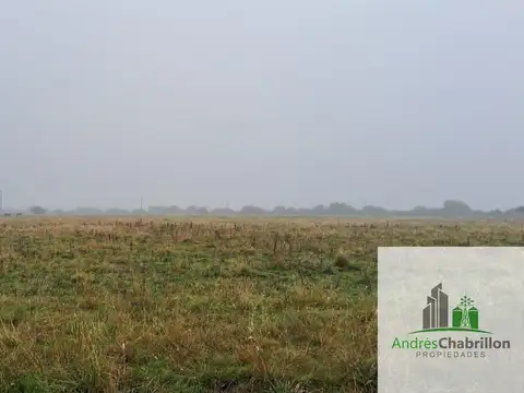 Campo en venta de 90ha ubicado en Estación Yeruá