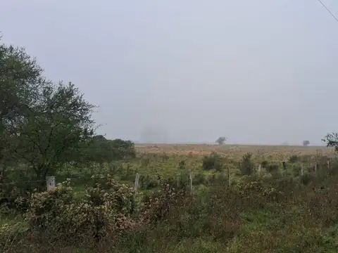 Estación Yeruá 100