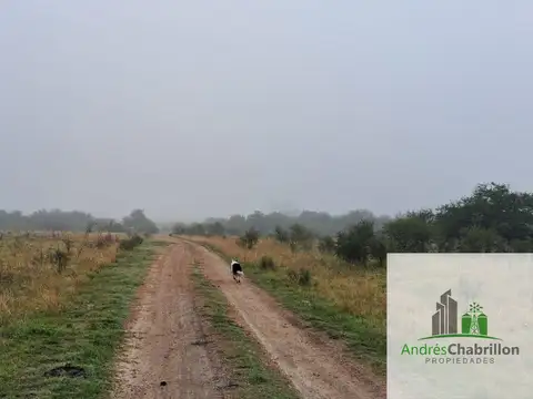 Estación Yeruá 100