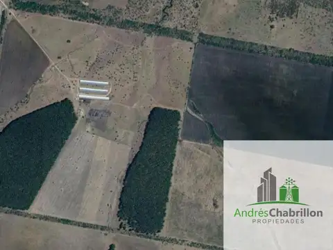 Campo en venta de 90ha ubicado en Estación Yeruá