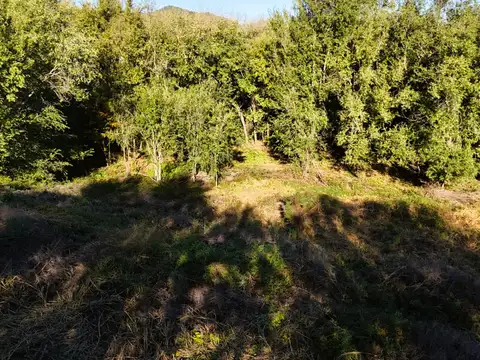 Terreno en Venta de 1335,0 m2