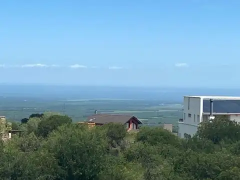 Pájaro Carpintero
