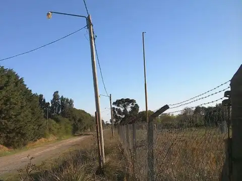 Campo venta - 71,2 x 224 Mts - 1,6Hectareas -  Pergamino
