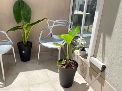 Departamento Loft en alquiler Anual en Homes