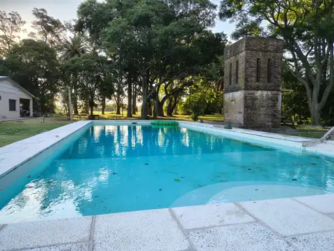 Campo - Venta - Argentina, Villa Amelia