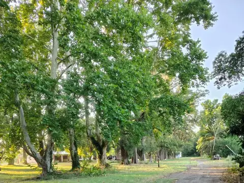 Campo - Venta - Argentina, Villa Amelia