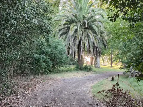 Campo - Venta - Argentina, Villa Amelia