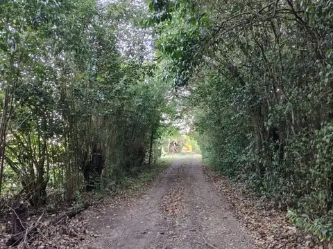 Campo - Venta - Argentina, Villa Amelia