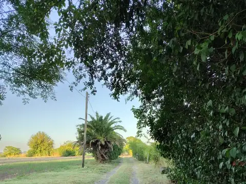 Campo - Venta - Argentina, Villa Amelia