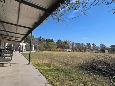 Cabeza De Tigre Esquina Francisco A. De Laetamendi 1