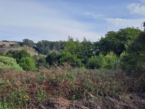 VENTA LOTE 16 ZONA ALTA SIERRA DE LOS PADRES