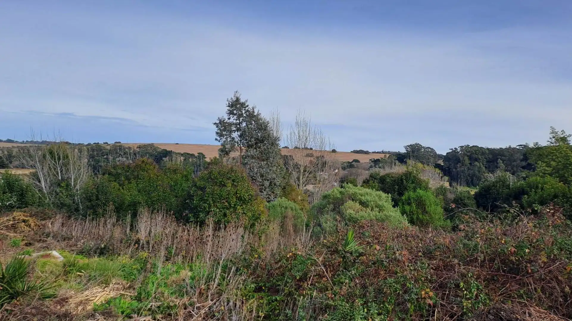 VENTA LOTE 16 ZONA ALTA SIERRA DE LOS PADRES