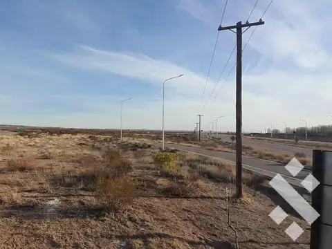 R22 entre Senillosa y Arroyito