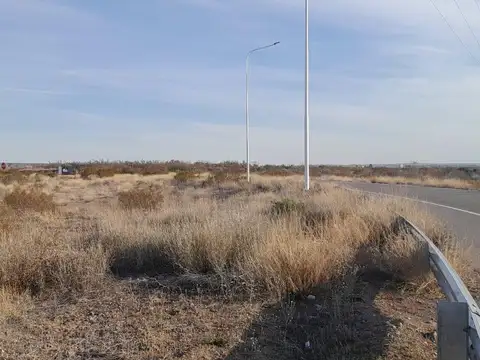 Campo en  Senillosa