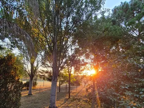 CASAQUINTA- VENTA- BO.PARQUE LAS ACACIAS BRANDSEN