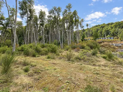 Venta local Villa La Angostura