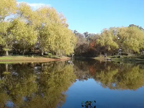 Lobos Ruta 41 km 167