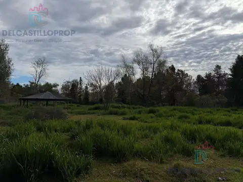 Arroyo Antequera