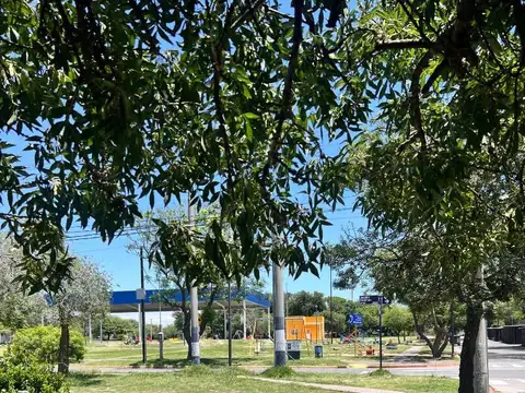 Jacobo Feldman 4050