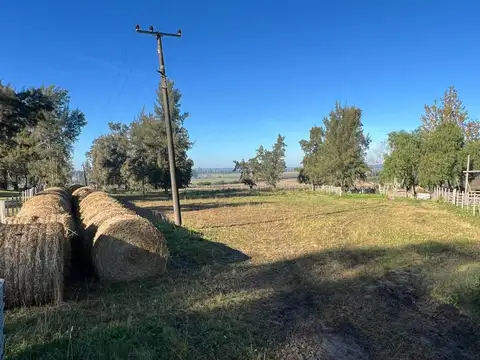 Venta de campo 6Has. sobre Ruta 11 Km. 146